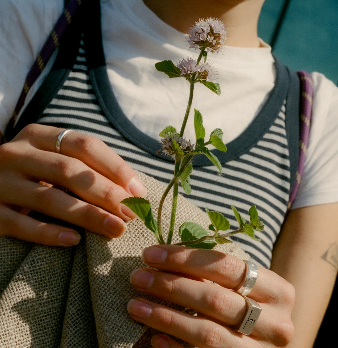Lughnasadh Forage & Feast