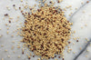Hodmedod's Organic Red & White Quinoa 500g – High Protein Wholegrain